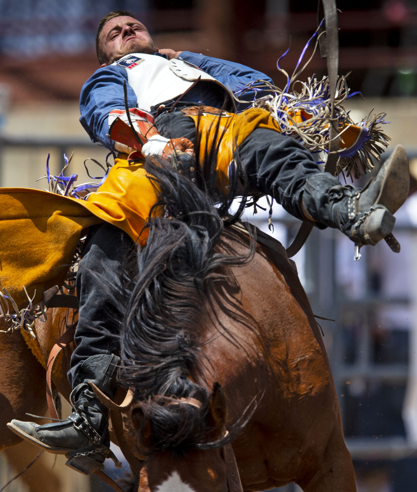 Sports Rodeo - Saturday 14.JPG